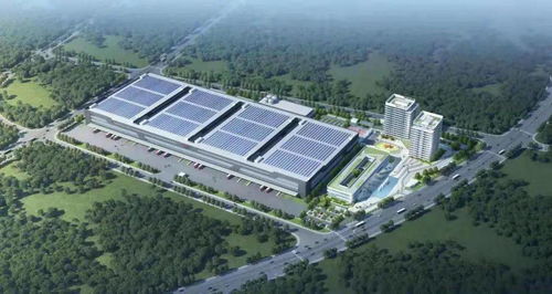 在六大比拼中干出 虎氣 ,新的一年我們準備這么干